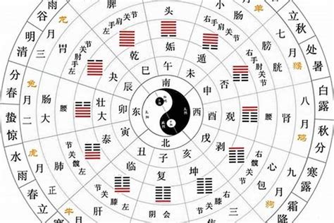 阴金|五行中的阴金是什么意思